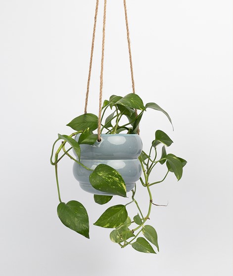 2HAVE Ampel Single Blumentopf blau