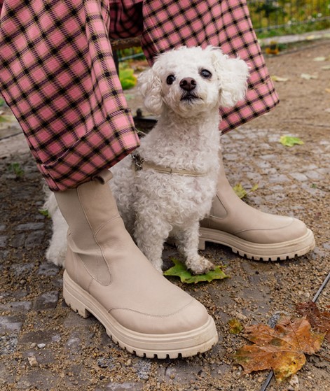 KAUF DICH GLCKLICH Chelsea Boots Mud