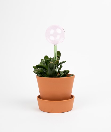 HBSCH Flora Aqua Globe mehrfarbig