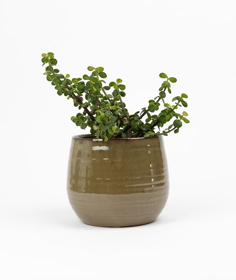 2HAVE City Blumentopf (15x17) Grn