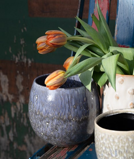 2HAVE Pot Royal (16x18cm) Blumentopf mehrfarbig