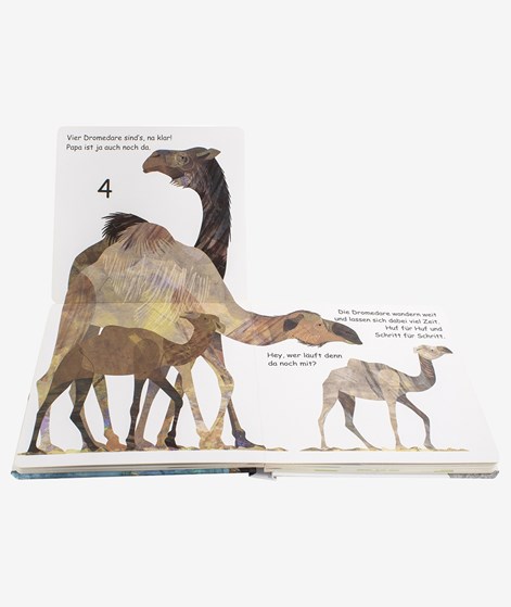 DK Verlag Tiere ABC Kinderbuch mehrfarbi
