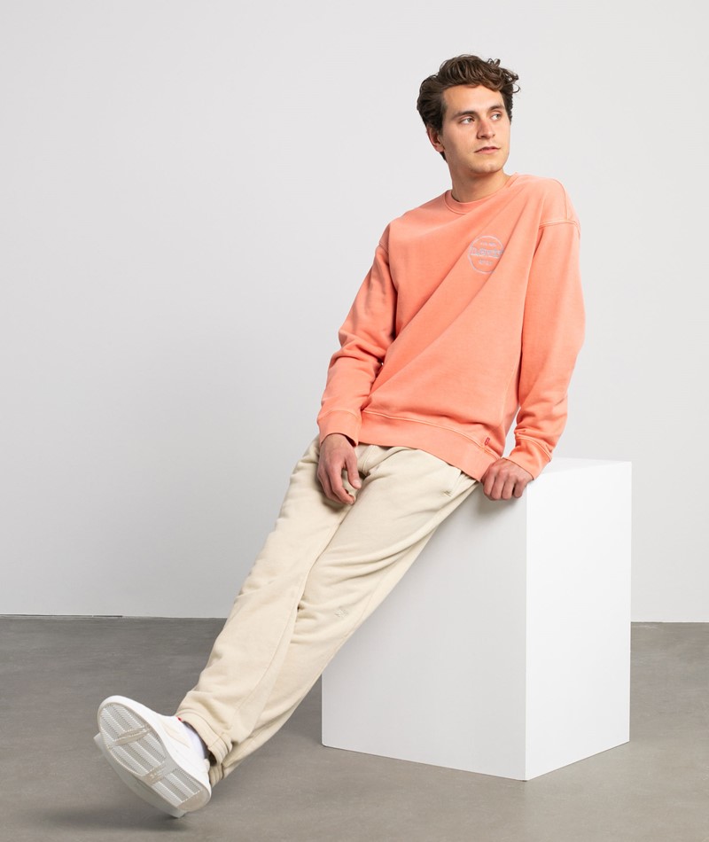 LEVIS Relaxed T2 Graphic Sweater orange