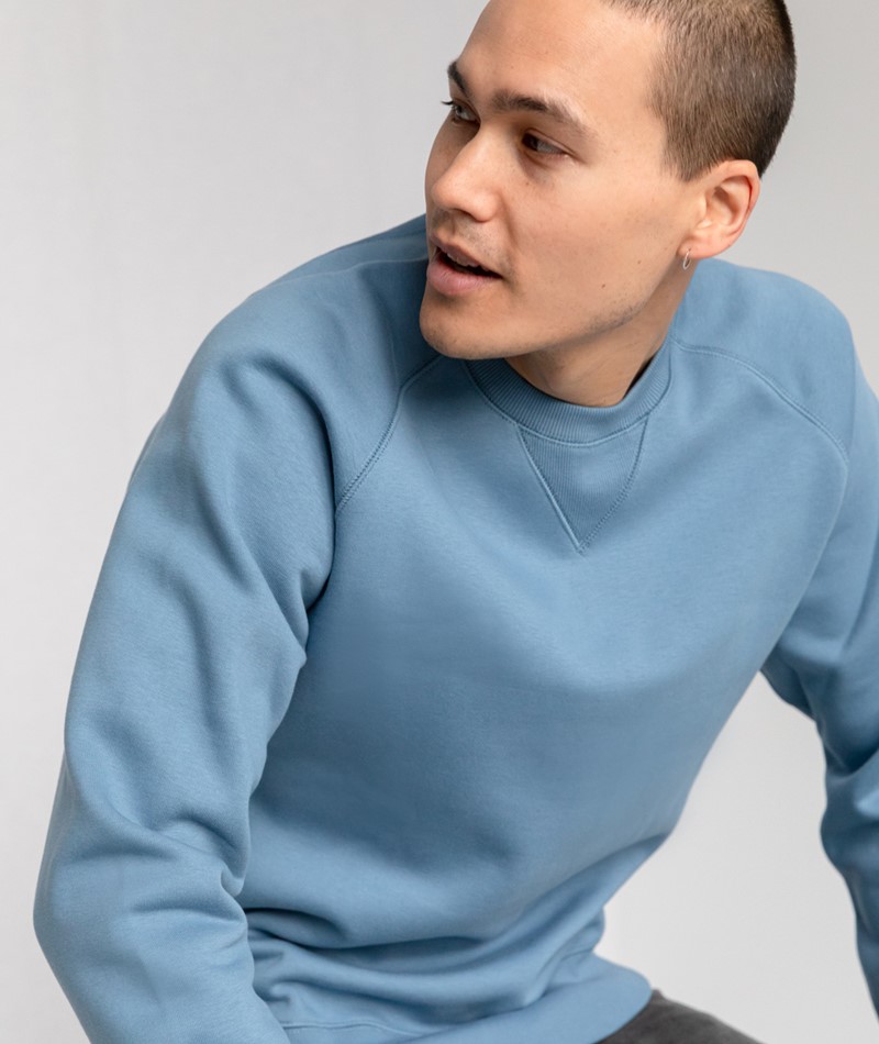 CARHARTT WIP Chase Sweater blau