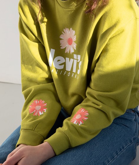 LEVI'S® Graphic Vintage Sweater grün